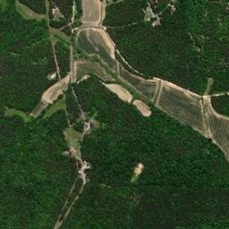 Palestine Tennessee High Resolution Satellite Map