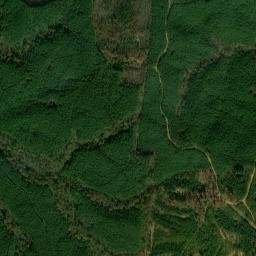 Crowtexas Tennessee High Resolution Satellite Map