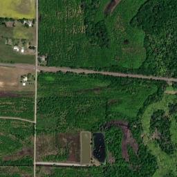 Cavell Arkansas High Resolution Satellite Map