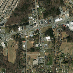 Locust map(satellite map)