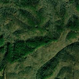 Wayne County map(satellite map)