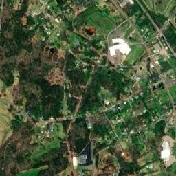 Bethel Springs Tennessee High Resolution Satellite Map