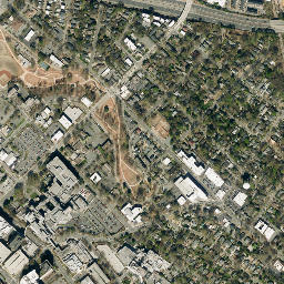 Ridgeway Ave, Charlotte, North Carolina High Resolution Satellite Map