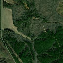 Hardeman County map(satellite map)