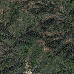 Transylvania County map(satellite map)