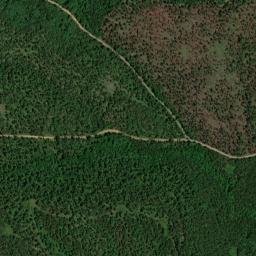 Gum Tree Arkansas High Resolution Satellite Map