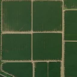 Blanton Arkansas High Resolution Satellite Map