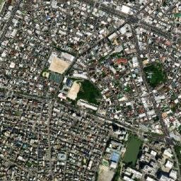 Motoyama map(satellite map)