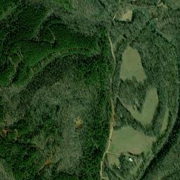 Pinkney Tennessee High Resolution Satellite Map