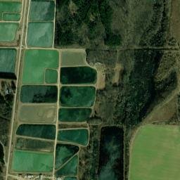 Wiville Arkansas High Resolution Satellite Map