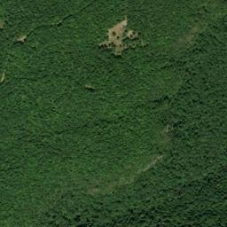 Marion County map(satellite map)