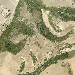 Newsom Springs California High Resolution Satellite Map