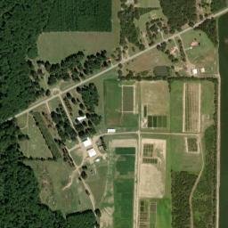 Pinetree Arkansas High Resolution Satellite Map