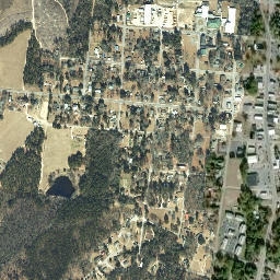 Ellerbe map(satellite map)