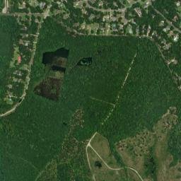 Brices Creek map(satellite map)