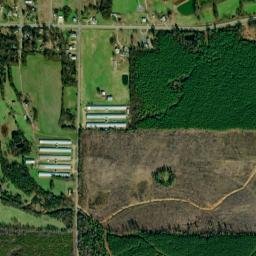 Adona Arkansas High Resolution Satellite Map