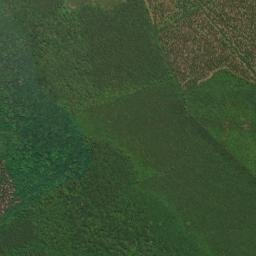Jones County map(satellite map)