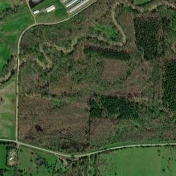 Shark Arkansas High Resolution Satellite Map