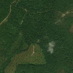 Yell County map(satellite map)