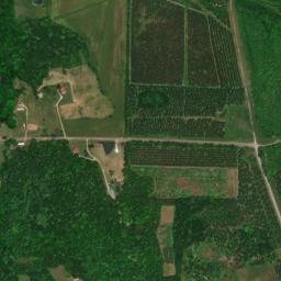 Gourdsville Alabama High Resolution Satellite Map