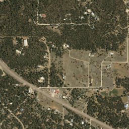 Ponderosa Pine map(satellite map)
