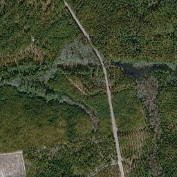 Sneads Grove Road, Marston, NC 28363 High Resolution Satellite Map