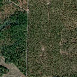 28723 Marston Road, Marston, NC High Resolution Satellite Map