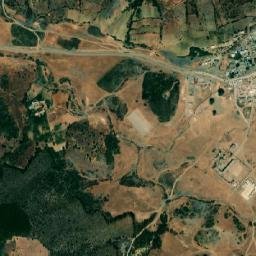 Tamorot map(satellite map)