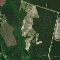 Duplin County map(satellite map)