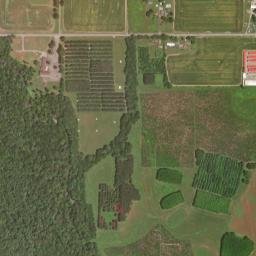 139-297 Grimwood Rd Hazel Green High Resolution Satellite Map