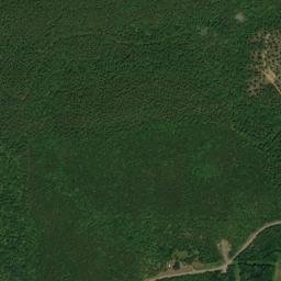 Crockett Lane, Ouachita National Forest, Plainview, AR High Resolution Satellite Map