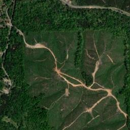 Riverton Alabama High Resolution Satellite Map