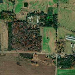 Romine Alabama High Resolution Satellite Map