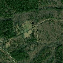 Reform Arkansas High Resolution Satellite Map