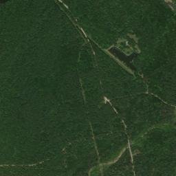 Forester Arkansas High Resolution Satellite Map