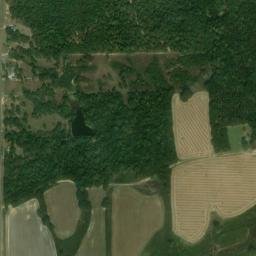 4237 Mississippi 309, Byhalia, MS 38611 High Resolution Satellite Map