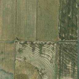 Lonoke County map(satellite map)