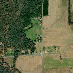 Pikeville Alabama High Resolution Satellite Map