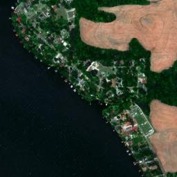 Poplar Point Alabama High Resolution Satellite Map