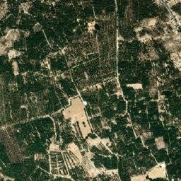 Tolga map(satellite map)