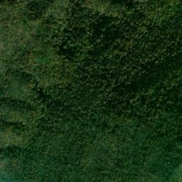 Satellite view of Ellison’s Cave, Pigeon Mountain
