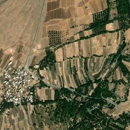 Timi Jan map(satellite map)