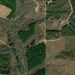 Saline County map(satellite map)