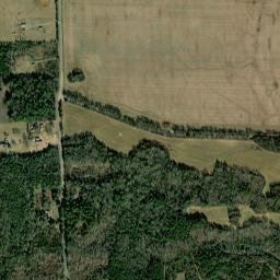 Rigdom Alabama High Resolution Satellite Map