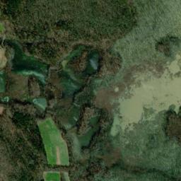 Satellite view of Goosepond Plantation Golf Course