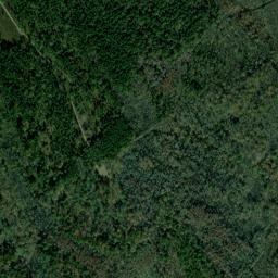 Bladen County map(satellite map)
