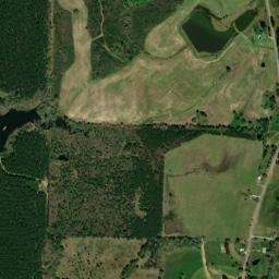 Ligon Springs Alabama High Resolution Satellite Map