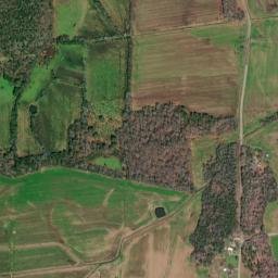 Poplar Ridge Alabama High Resolution Satellite Map