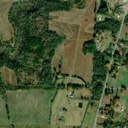 Longtown Alabama High Resolution Satellite Map