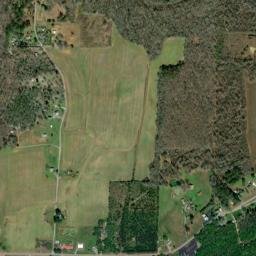 Elon Alabama High Resolution Satellite Map